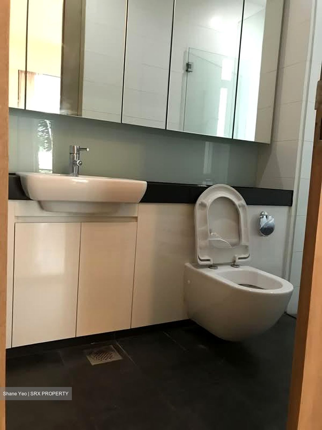 Orange Grove Residences (D10), Condominium #528674461